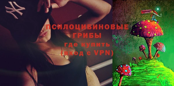 сатива Пестово